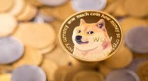 The dog coin is profitable in 2025 and how does it work?