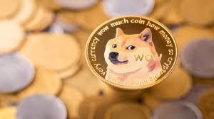 The dog coin is profitable in 2025 and how does it work?